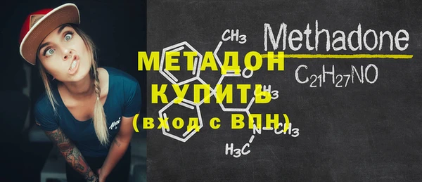 индика Аркадак