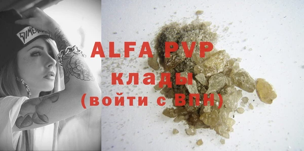 индика Аркадак