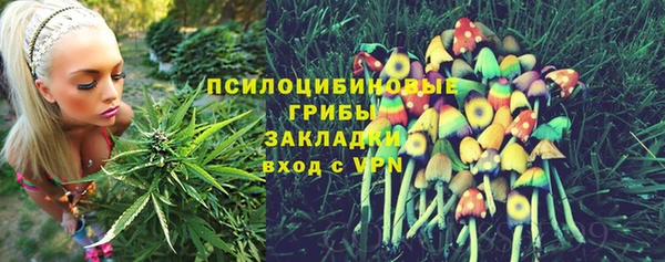 индика Аркадак