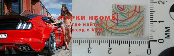 индика Аркадак