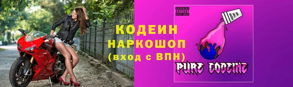 индика Аркадак