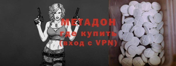 индика Аркадак
