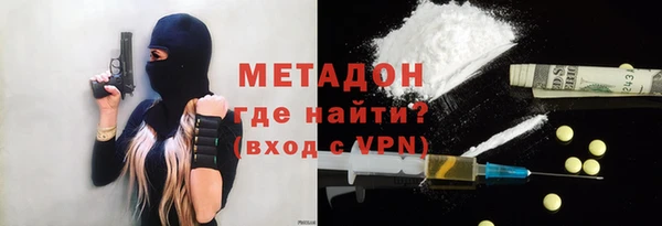 индика Аркадак