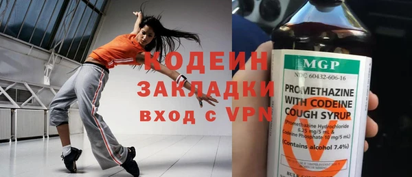 индика Аркадак