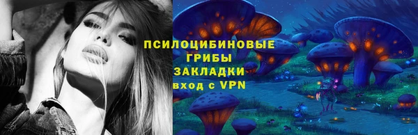 бошки Арсеньев